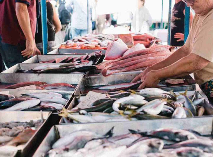 Ecco da dove arriva il pesce dell'Esselunga