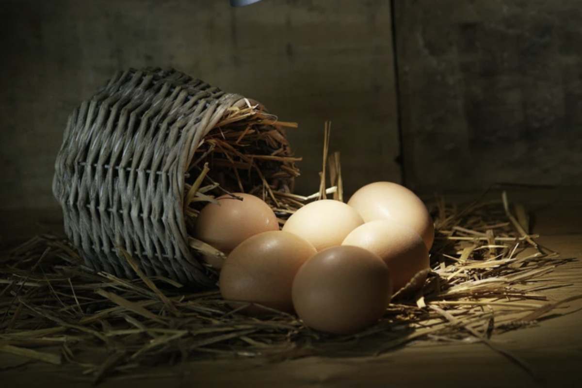 L'osservazione più interessante riguardo ai centenari è che, dopo la mezza età, la maggior parte di loro ha guadagnato oltre un decennio